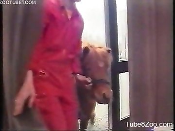 Xvideos zoo