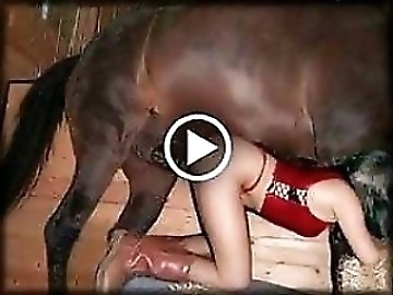 zoo Porno