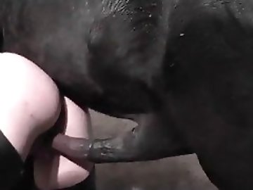 Ukrainian zoo
