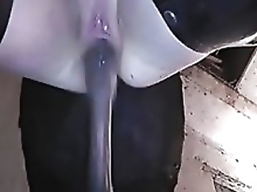 Porno zoo